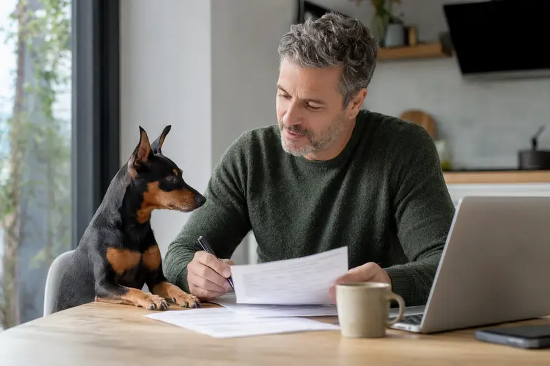 Ein Zwergpinscher Hund sitzt entspannt neben seinem Besitzer am Küchentisch mit Versicherungsunterlagen und einem Laptop.
