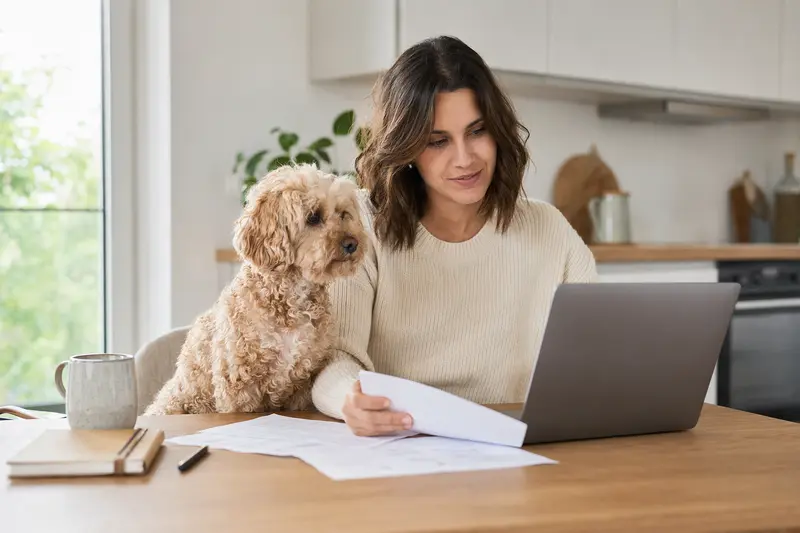 Ein Zwergpudel sitzt ruhig neben seinem Besitzer am Küchentisch, während Versicherungsunterlagen und ein Laptop mit Vergleichsseite für die Hundekrankenversicherung vor ihm liegen.