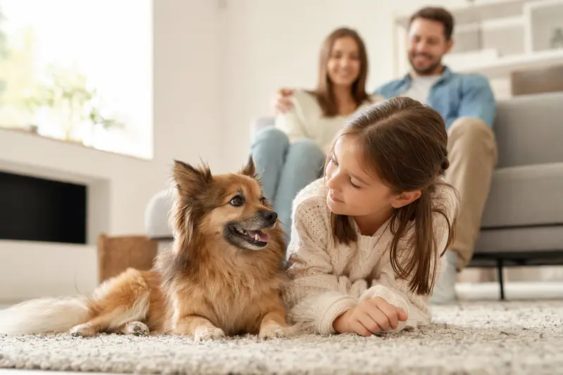 Ein freundlicher Zwergspitz liegt entspannt neben einem Kind im Wohnzimmer, während die Eltern im Hintergrund stehen und eine sichere Familienatmosphäre entsteht.